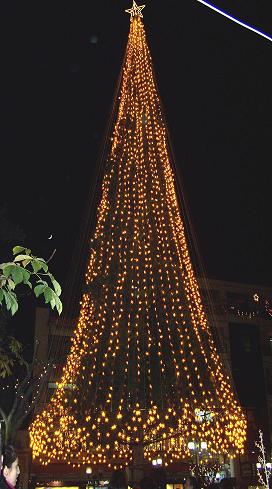 Άναψε το Χριστουγεννιάτικο δέντρο στα Γιαννιτσά